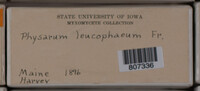 Image Associated With the Occurence
